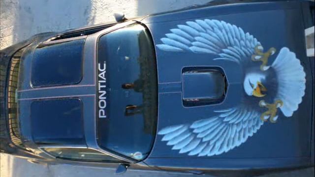 MI TRANS AM EN VENTA смотреть онлайн