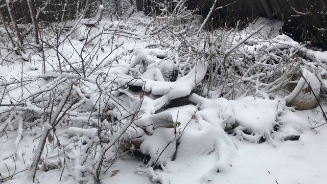 Снегопад. Небольшие новости с дачи смотреть онлайн