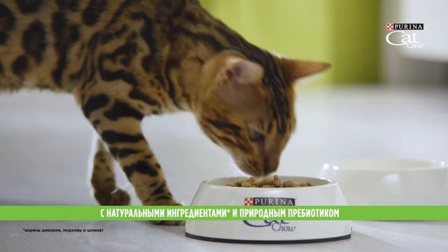 Purina Cat Chow смотреть онлайн