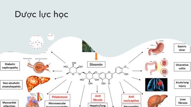 Thuốc trị Trĩ #Diosmin: Công dụng, chỉ định và lưu ý khi sử dụng | Daflon смотреть онлайн
