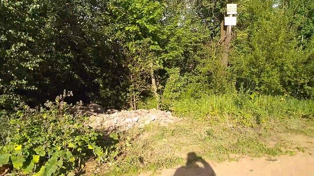 Платформа ШЕРЕМЕТЬЕВСКАЯ Савеловского направления 2019 год смотреть онлайн