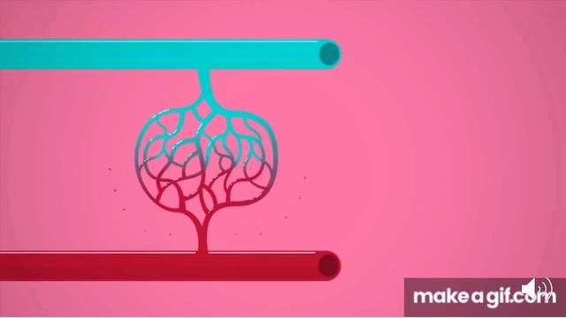 Tissue Organization of the Human Body Part 1: The Epithelium смотреть онлайн