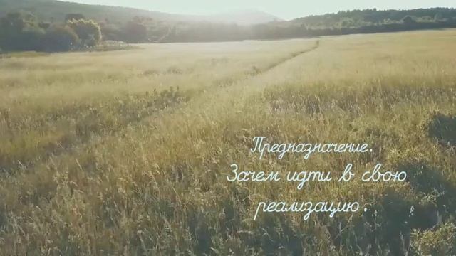 Предназначение. Зачем его искать?