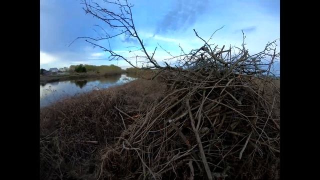 Уборка веток на речке после большой воды 2024 смотреть онлайн