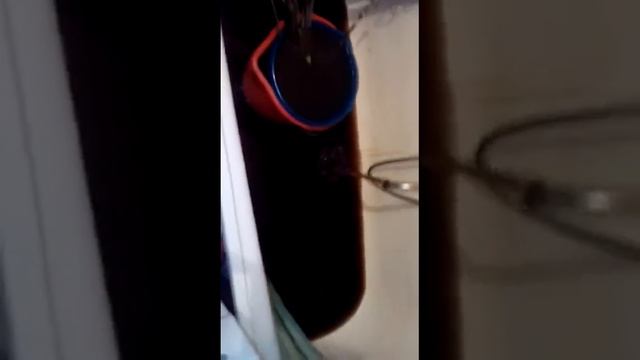 Ржавая вода из крана (пер.Строительный 1 Б, г.Белогорск) смотреть онлайн