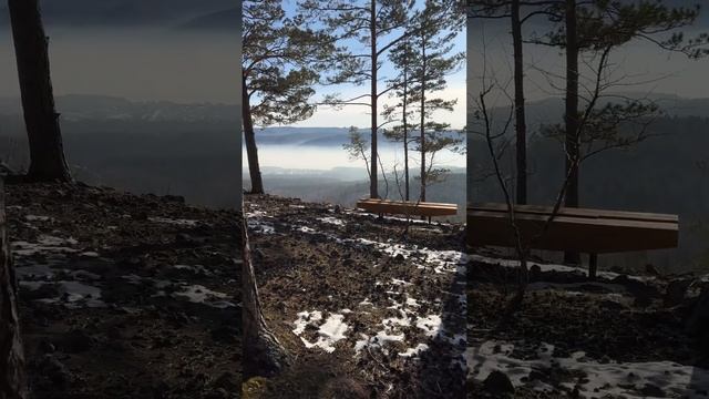 Скоро новый выпуск. Подпишись чтобы не пропустить. #ПикникНаПрироде #ОрехиКудри