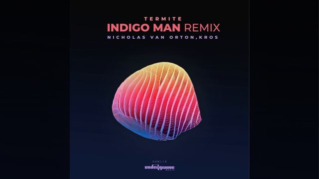 Termite (Indigo Man Remix)