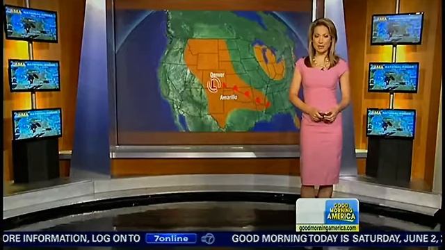 Ginger Zee all weather paint - pink(Lama's fascinator).mp4 смотреть онлайн