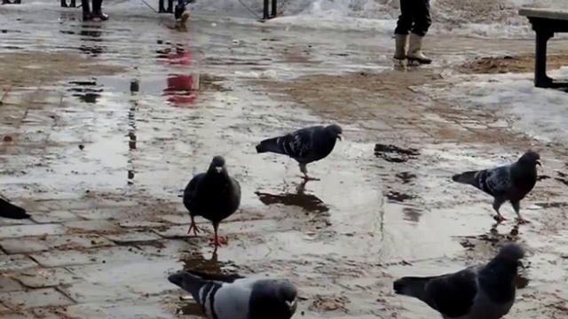 Прогулки по воде смотреть онлайн