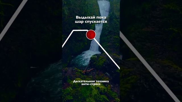 ДЫХАТЕЛЬНАЯ ПРАКТИКА СНЯТИЕ ВОЛНЕНИЯ И ТРЕВОГИ