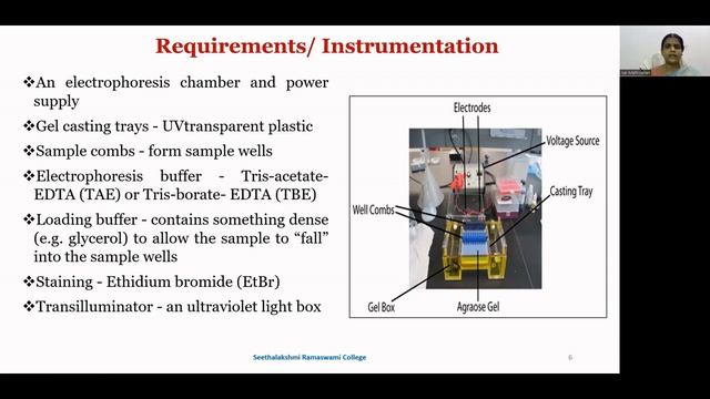 AGAROSE GEL ELECTROPHORESIS - Dr.M.Isai – Dept. of Zoology смотреть онлайн