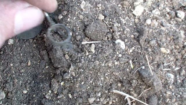 Отдыхаем от стройки в деревне | Серия 1. Коп монет смотреть онлайн