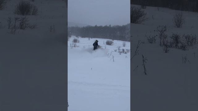 #2024 #brp #polaris #summit #валит #зима #снег #снегоход #рекомендации #приколы #шерегеш #подпишись смотреть онлайн