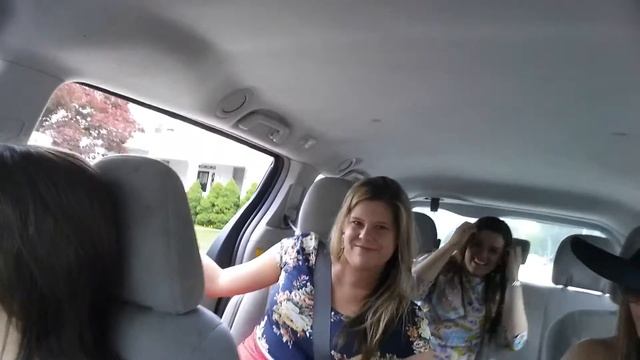 Gone wild in the taxi cab смотреть онлайн