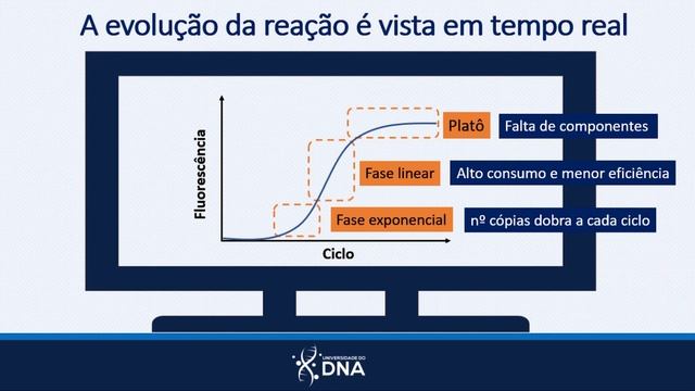Fundamentos da PCR em Tempo Real (qPCR) com intercalante de DNA SYBR Green смотреть онлайн