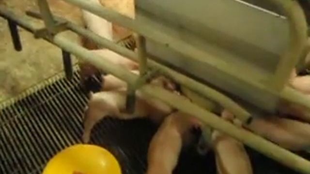 Erna Twin Master ( Kunstzeug / Brijautomaat) смотреть онлайн