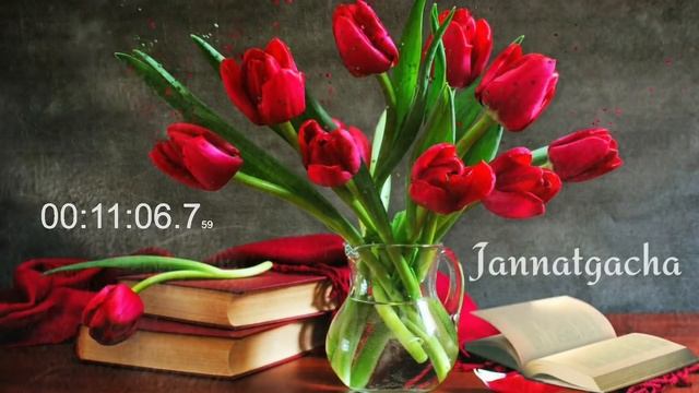 Аёллар учун енг керакли маьруза°Абдуллох домла°Abdulloh Domla°Ilmnuri