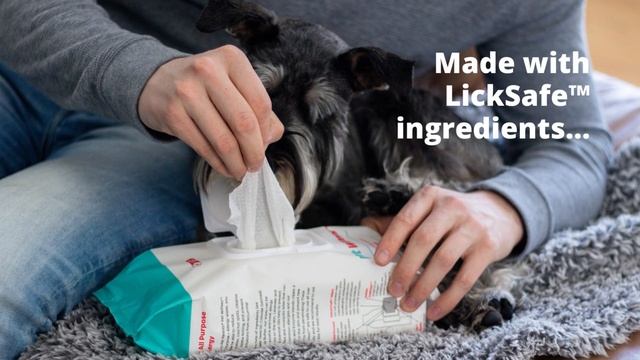 3 Everyday Uses for Pet WiPees™ смотреть онлайн