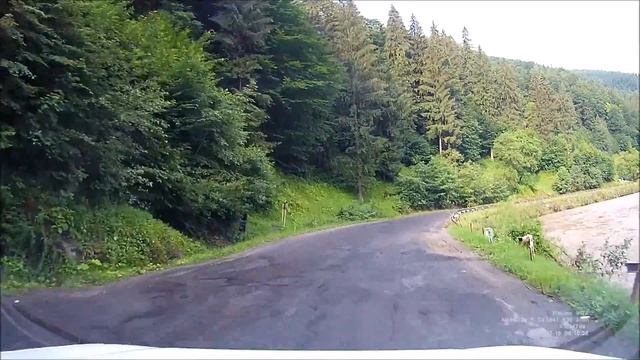 Костилівка (Kostylivka). Закарпаття смотреть онлайн