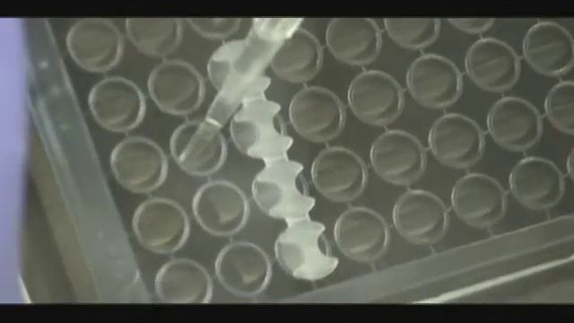 Oris Cell Migration Assay Demo Part2 смотреть онлайн