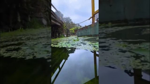 Съёмка IPhone 14 Pro Max под водой смотреть онлайн