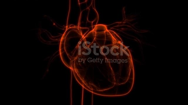 ЖҮРЕК АУРУЫНЫҢ АЛҒАШҚЫ ЖАСЫРЫН БЕЛГІЛЕРІ / Егер сізде осы белгілер болса тезірек дәрігерге барыңыз! смотреть онлайн