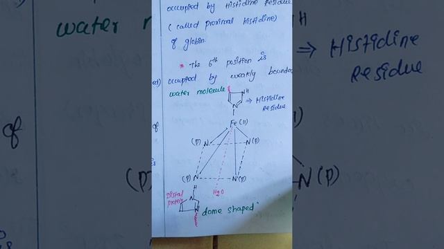 BIO-INORGANIC-4| Hemoglobin and myoglobin|Csir-NET GATE Preparation class| Catalyst Chemistry Net смотреть онлайн
