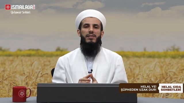 Helal Gıda 11: E920 Sistein Tüketilmesi Câiz midir? – Mustafa Meral Hoca Efendi смотреть онлайн