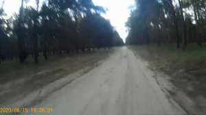 2020 06 15 Сосновый бор
