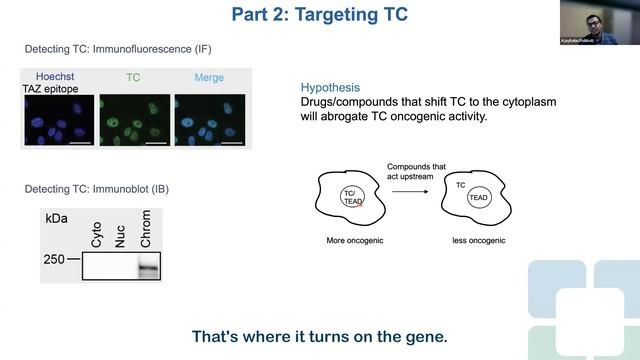 Targeting EHE: Pocket Science and Other Approaches смотреть онлайн