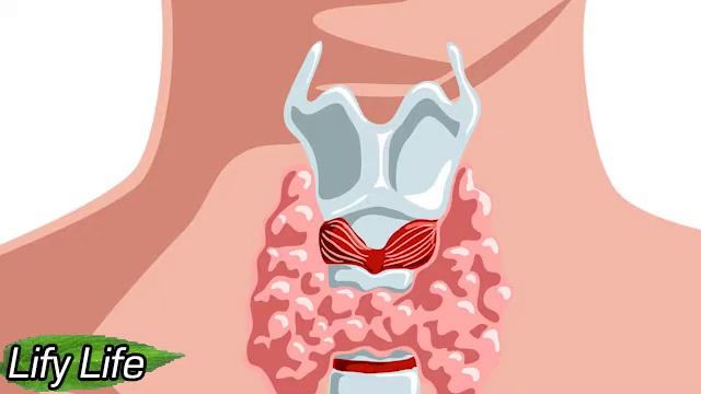 HOW TO KEEP YOUR THYROID HEALTHY DURING TIMES OF STRESS смотреть онлайн