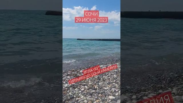 Какая вода сейчас в Сочи? смотреть онлайн