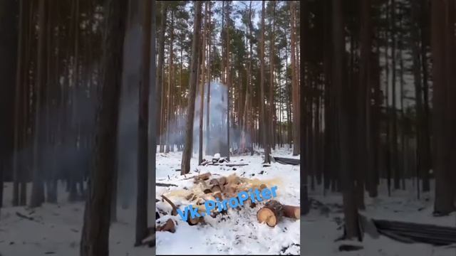 Лютая Петарда Мамба уложила дерево смотреть онлайн