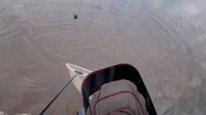 ловля на реке фидером ранней весной