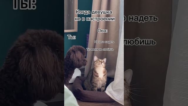 Клип Корпорация Юмора смотреть онлайн