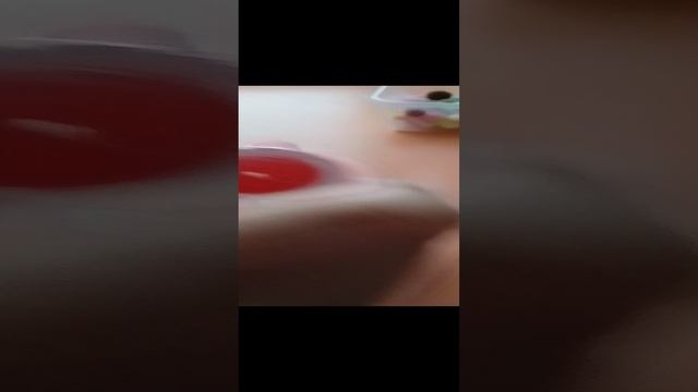 как проходит день моей лапки смотреть онлайн