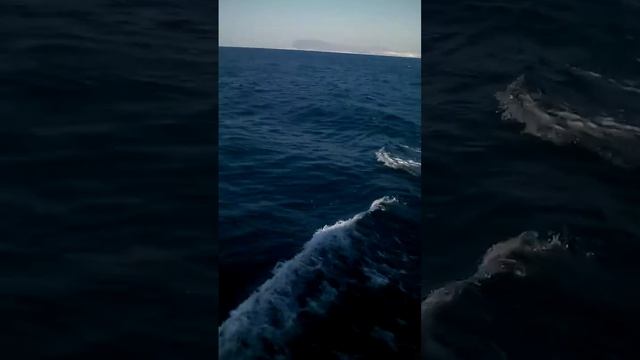 Теплоход на море:* смотреть онлайн