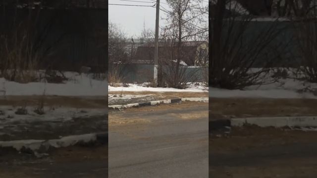 ЖКХ по-рязански.Обильное посыпание песком, после жалоб горожан.#жкх #рязань#песок#лед смотреть онлайн