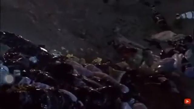 Срочно бинен одами ай Каронавиру мурдагихора чкор кадестан смотреть онлайн