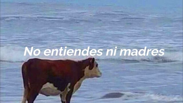 Lana del Rey - High by the beach (versión mexicana) смотреть онлайн
