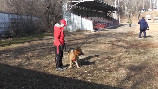 MDM Ermak смотреть онлайн