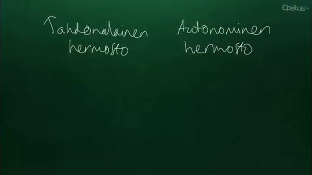 Hermosto смотреть онлайн
