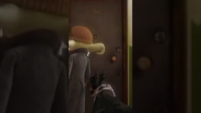 Глюкоза - Снег идет❄️❄️❄️ #музыка #music #музыкавмашину #musica #музыкадлядуши #nostalgia #pop#danc смотреть онлайн