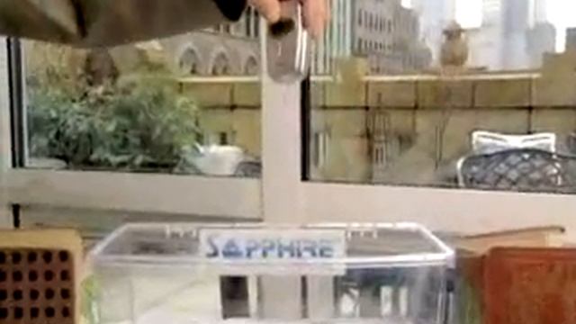 Tyco SAPPHIRE смотреть онлайн
