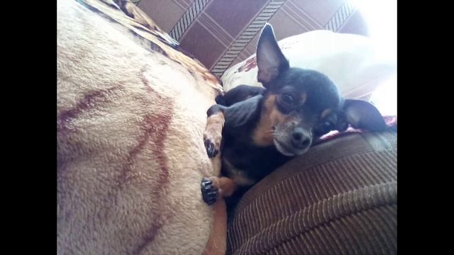 Кто добрый поставьте 👍 и подпишитесь смотреть онлайн