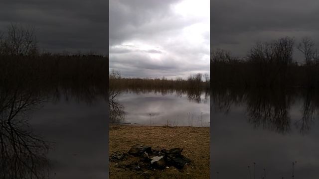 квантовая физика из параллельного мира смотреть онлайн