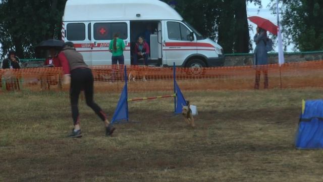 GAMES Snooker - Цудікова Алла Верда, вельштер'єр | CherkasyOpenAgility смотреть онлайн