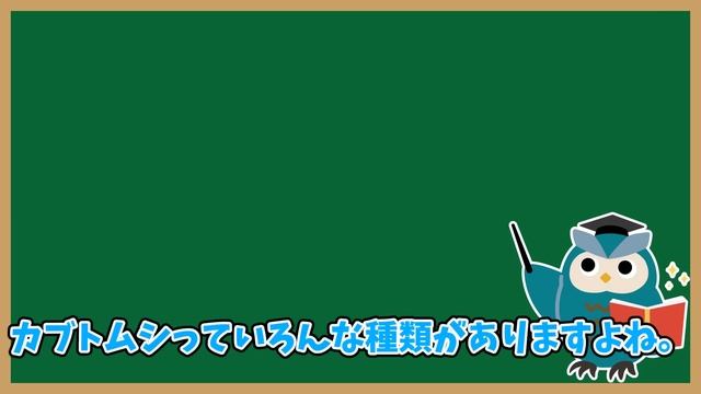 【2ch動物スレ】カブトムシさん、なんとカナブンさんと交尾してしまうwww смотреть онлайн