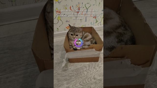 Скоро новый год