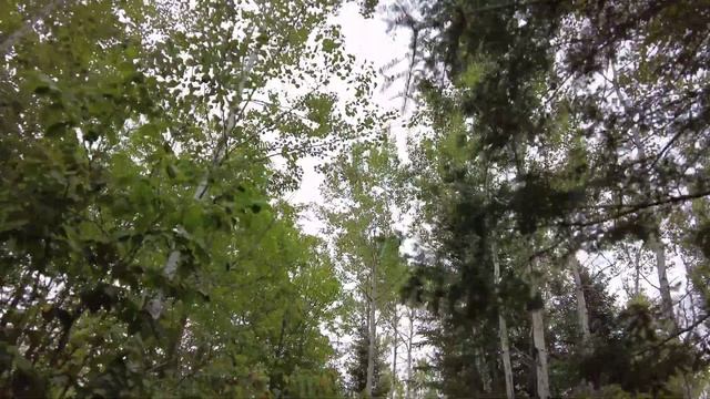 Путешествие длинною в жизнь. Какабека водопады, Онтарио, Грозовой залив. Kakabeka falls, Ontario. смотреть онлайн
